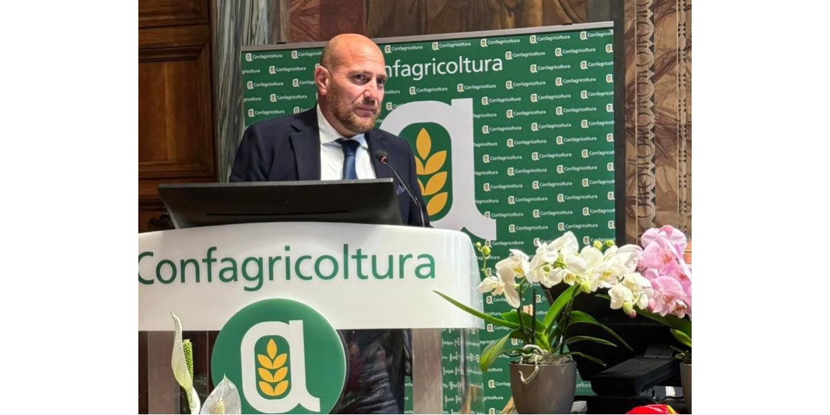 Distretto Agrumi di Sicilia: Giosuè Arcoria eletto nuovo presidente